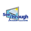 See Through Window Cleaning
