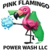 Pink Flamingo Power Wash