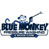 Blue Monkey