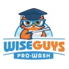 WiseGuys Pro-Wash