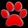 GUTTERDOGS Affordable Soft Power Washing & Safe Roof Cleaning Maryland